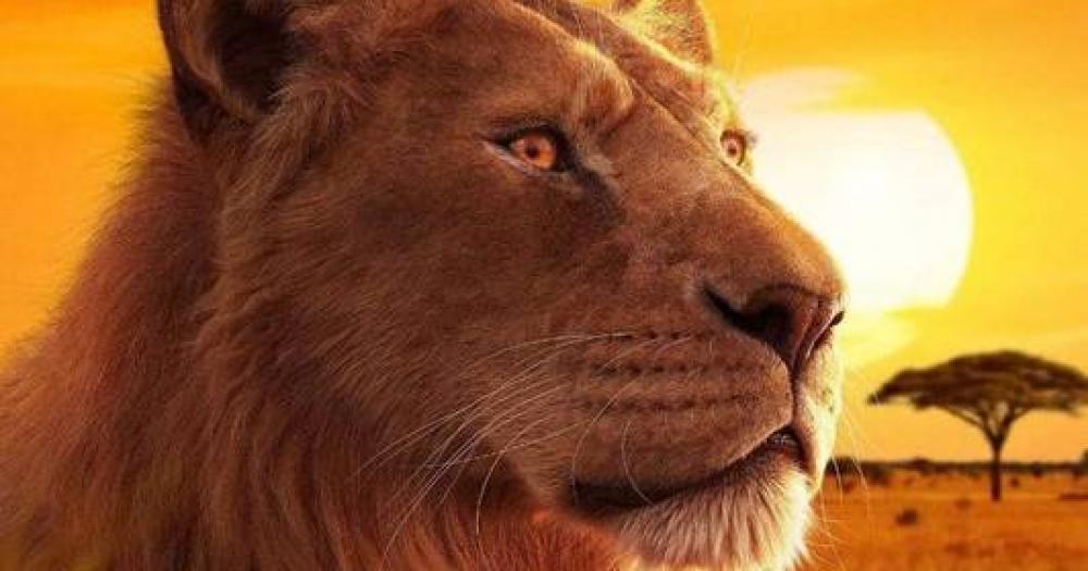 Mufasa: O Rei Leão ganha pôsteres inéditos dos personagens